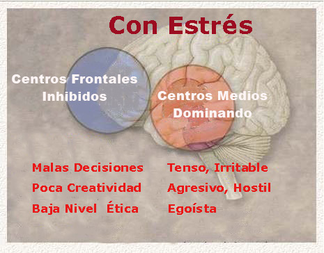 Mejor salud f�sica y ps�cica en trabajadores 