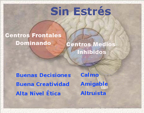 Sin estr�s